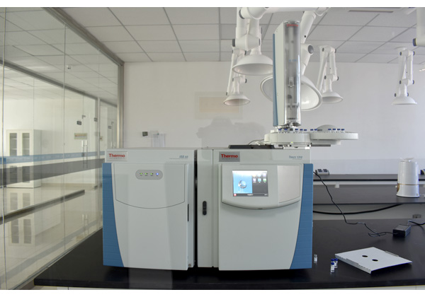 Gas chromatography mass spectrometer